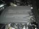 DSCF0915.JPG