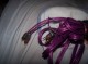 100_6881.JPG