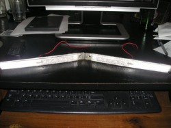 P1010010-1.jpg