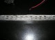 P1010011.jpg