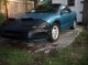 Picture_031.jpg