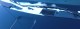 DSCF2316.JPG