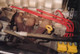 9294Bamboo_ignition1.jpg