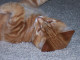 6436100_0346.JPG