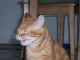 6436100_0372.JPG