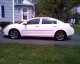 Tint4.jpg
