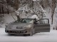 Blizzak_12-06-2009.JPG