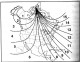 Compass_Variance.jpg