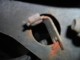 DSCN0859.JPG