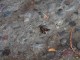DSCN08631.JPG