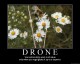 droneposter.jpg
