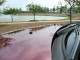 07-outlookredtest-029.jpg