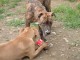 DSCF2074.JPG