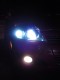 HIDS21.jpg