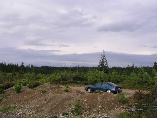 The 2002 SL1 on the Tahuya-Blacksmith Road-1