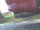 10-08-07_1342.jpg