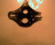12340Feb08105.jpg