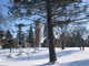 2031DSCN0499.JPG