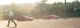 3299race_pic_2.jpg