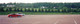 3299race_pic_4.jpg