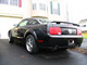 4884Picture_0321.jpg