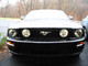 4884Picture_035.jpg