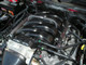 4884post-7-1086765387.jpg