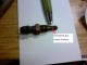 62408ects.JPG