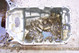 6410DCP_0239.jpg