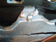 6689DSC00197.jpg