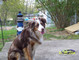 6708100_0145.JPG