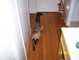 6708100_0164.JPG