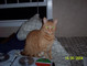 6708100_0167.JPG