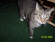 6708100_0169.JPG