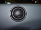 7477mounted_tweet_closeup.JPG