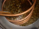 8126DSCF0931.JPG