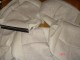 DSC00024.JPG