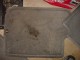 DSC006911.JPG