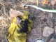DSCF0986.JPG