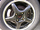 DSCN0861.JPG