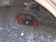 DSCN1470.JPG