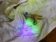 DSCN1705.JPG
