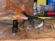 DSCN1709.JPG