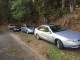 E3972AAA-178D-42EB-AFA0-ABE440FAC9E4.jpeg E3972AAA-178D-42EB-AFA0-ABE440FAC9E4.jpeg