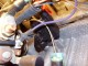 EVAP_Solenoid.jpg