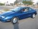 IMG_2906Medium.jpg