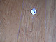 P10100031.JPG