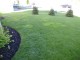 P4290021.jpg