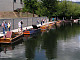 P7115552.jpg