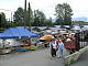 P7115596.jpg